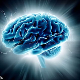 7 Fundamentals to Boost Memory and Mental Performance with Natural Nootropics