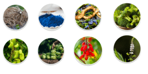 all herbs • Lord Lifestyle weight loss herbs