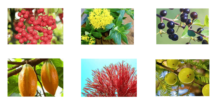 image • Lord Lifestyle