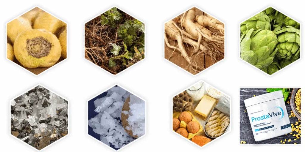 banner • Lord Lifestyle