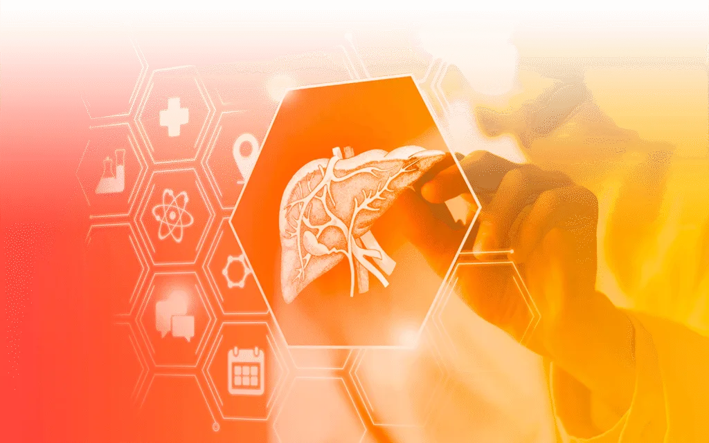 image (15) • Lord Lifestyle liver metabolism