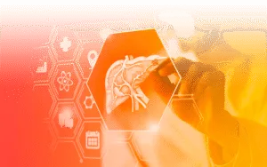 image (15) • Lord Lifestyle liver metabolism