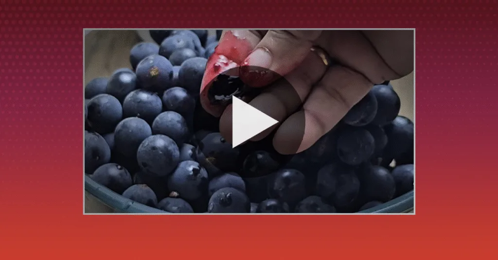 og-image-1 • Lord Lifestyle